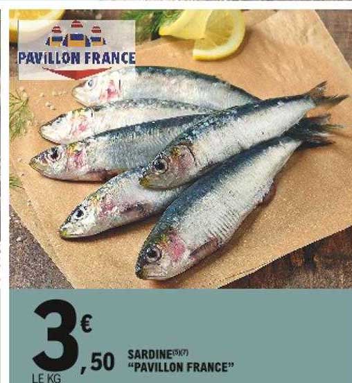 sardine "pavillon france"