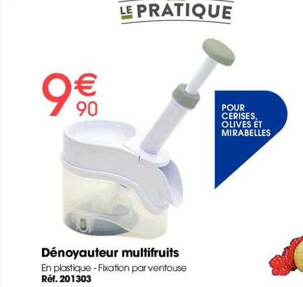 Dénoyauteur Multifruits Le Pratique