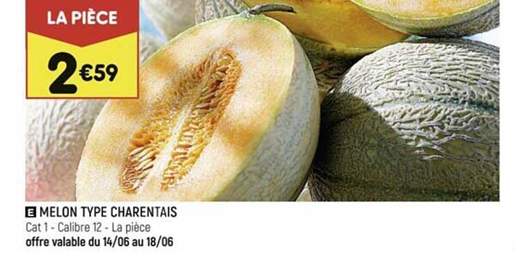melon type charentais