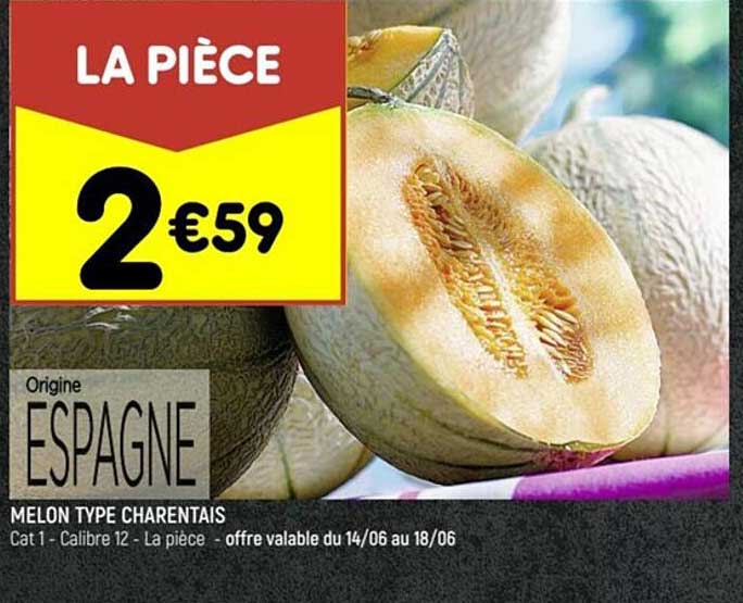 melon type charentais