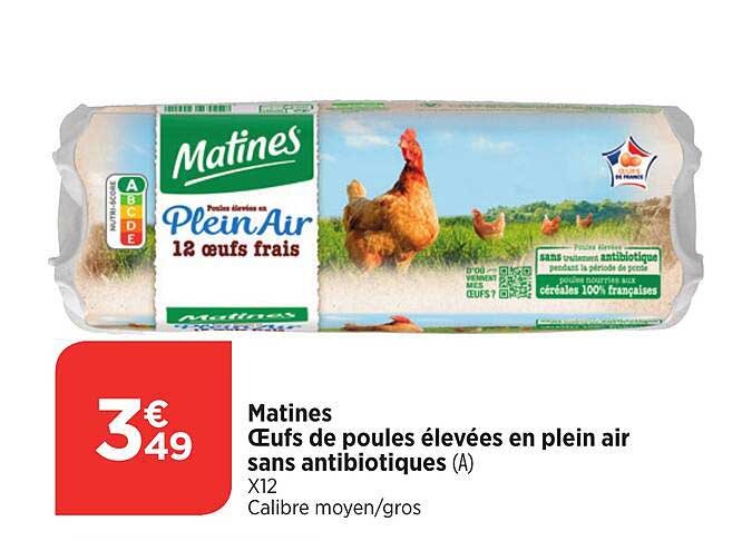 œufs de poules élevées en plein air sans antibiotiques matines