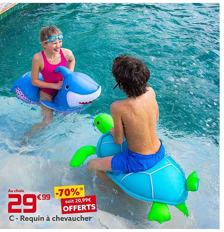 requin à chevaucher