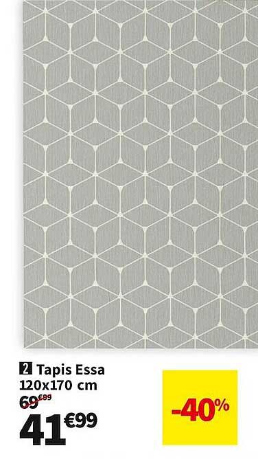 tapis essa 120 x 170 cm