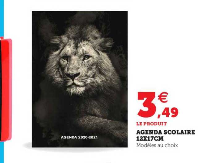 Agenda Scolaire 12x17cm