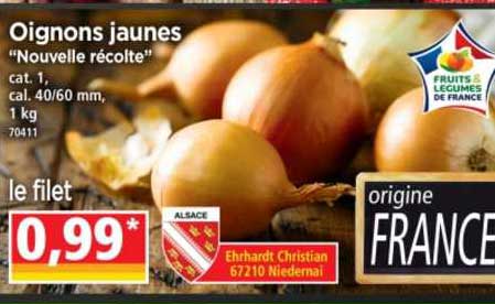 oignons jaunes "nouvelle récolte"