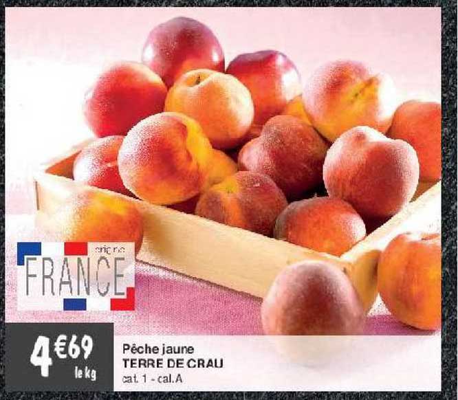 pêche jaune terre de crau