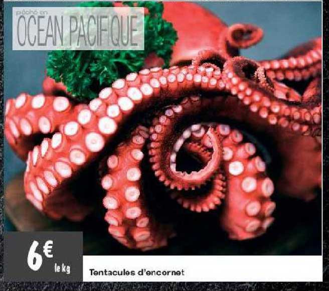 tentacules d'encornet