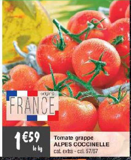 Tomate Grappe Alpes Coccinelle