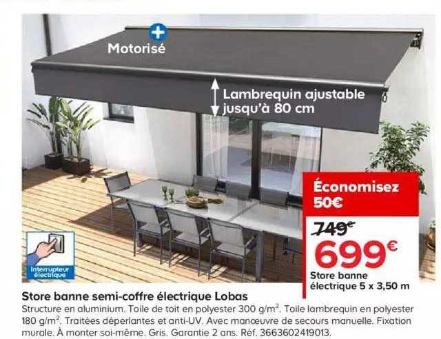 store banne électrique 5 x 3,50 m