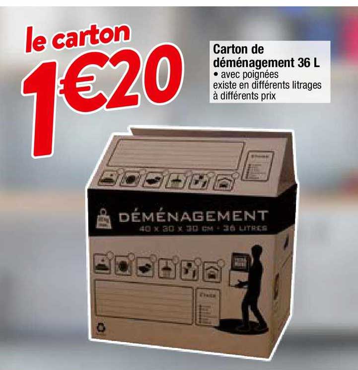 carton de déménagement 36l
