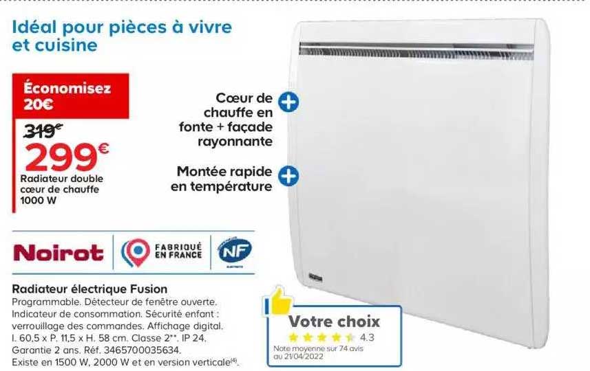 radiateur double cœur de chauffe 1000 w noirot