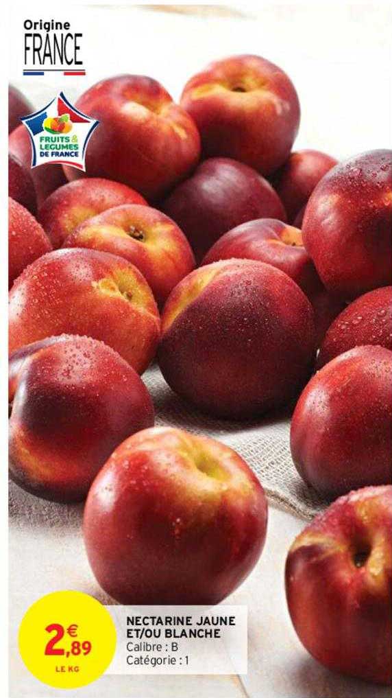 nectarine jaune et-ou blanche