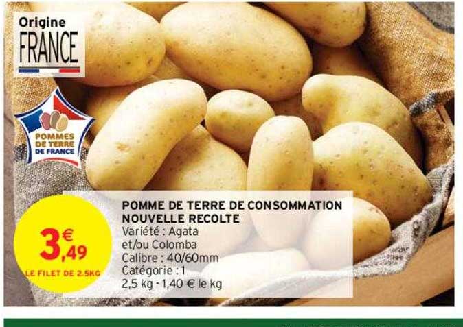 pomme de terre de consommation nouvelle recolte