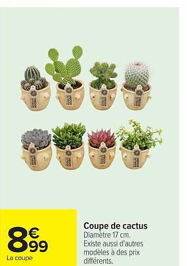 Coupe de cactus