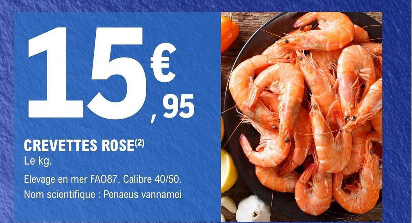 CREVETTES ROSE