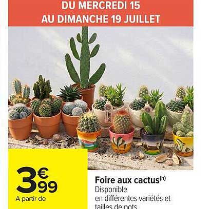 Foire aux cactus(h)