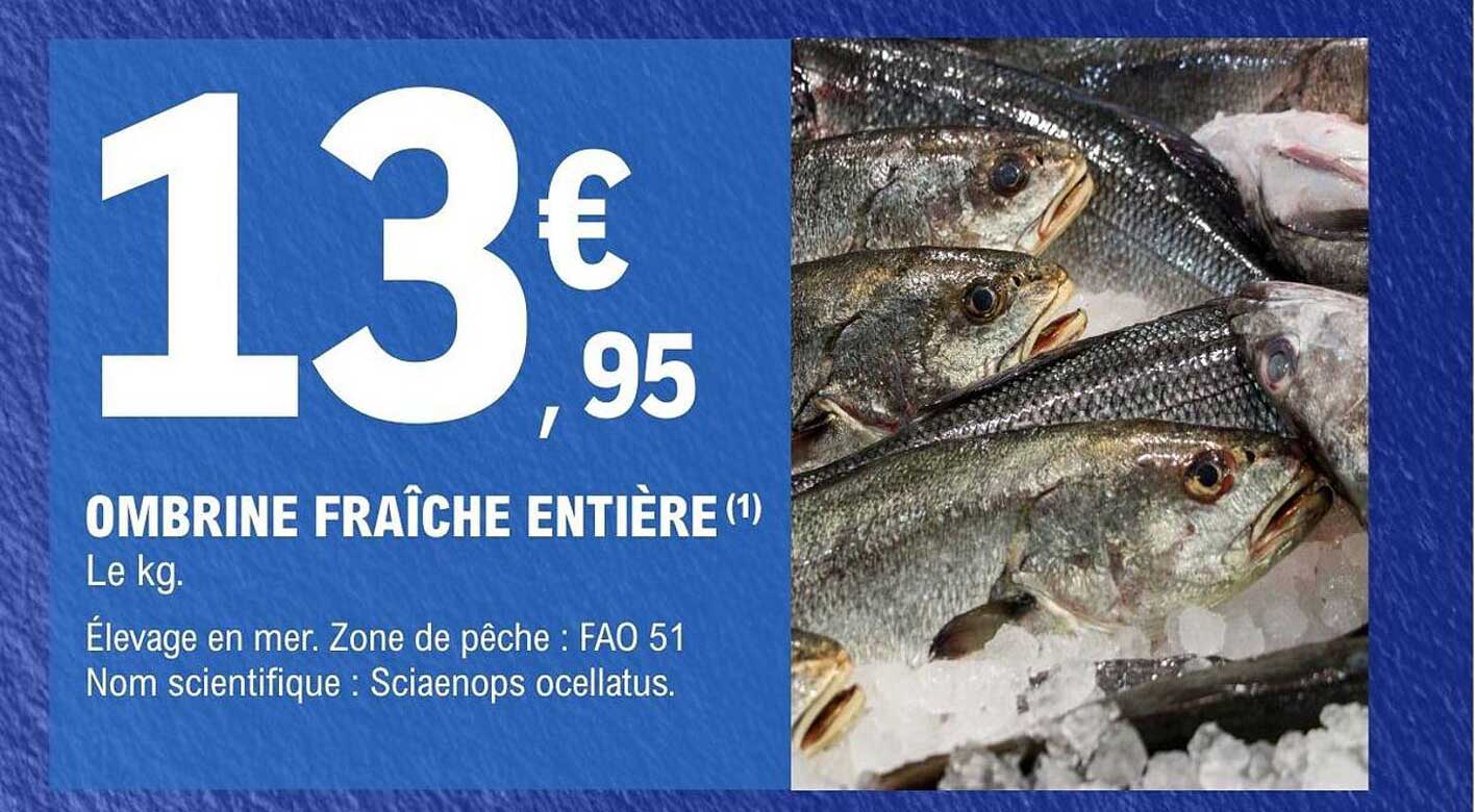 OMBRINE FRAÎCHE ENTIÈRE