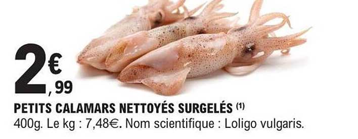 PETITS CALAMARS NETTOYÉS SURGELÉS