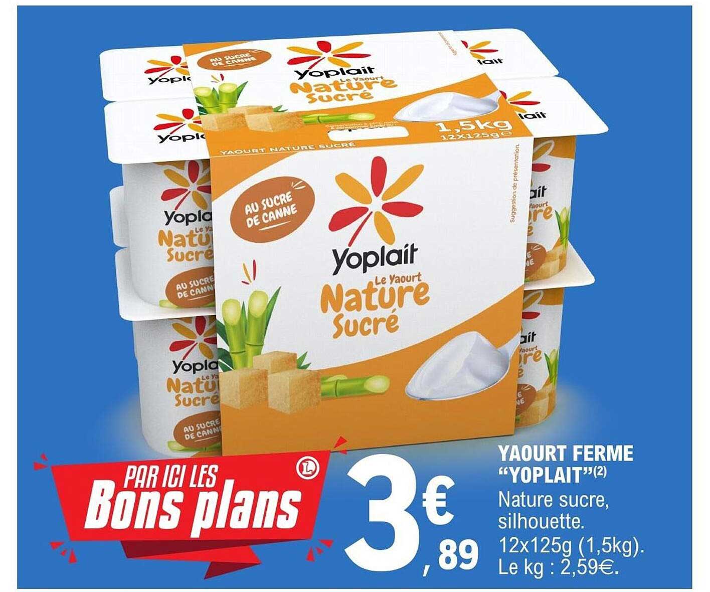 Yoplait Le Yaourt Nature Sucré