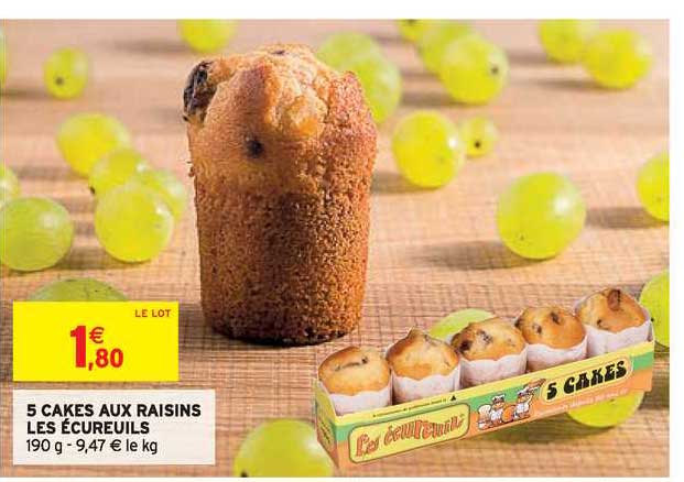 5 Cakes Aux Raisins Les écureuils