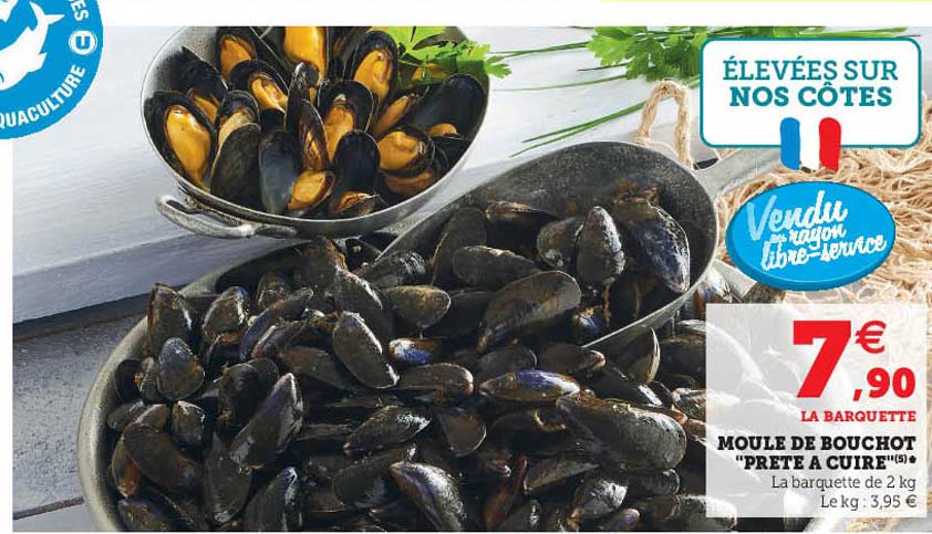 Moule De Bouchot "prete à Cuire"