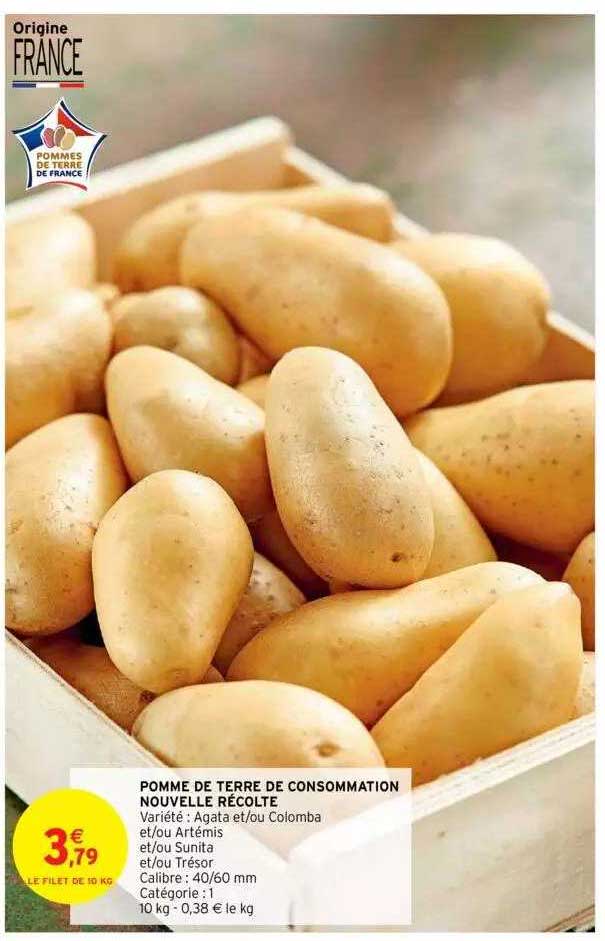 pomme de terre de consommation nouvelle récolte