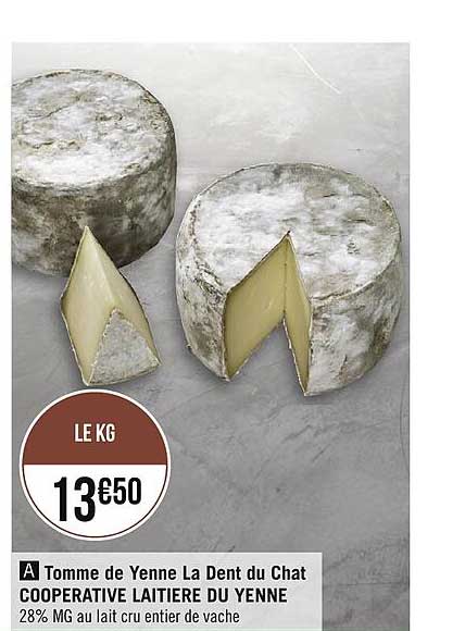 tomme de yenne la dent du chat coopérative laitière du yenne