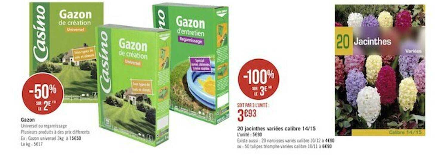 Gazon, 20 Jacinthes Variées Calibre 14-15