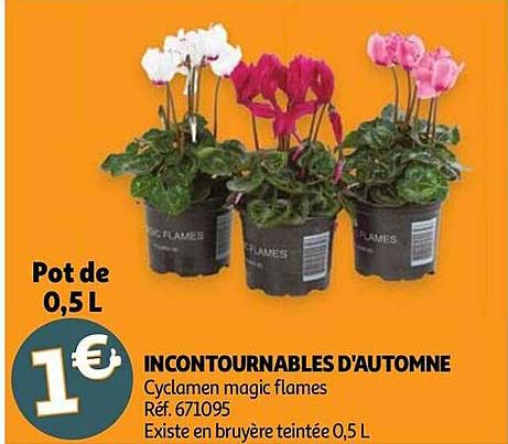 incontournables d'automne