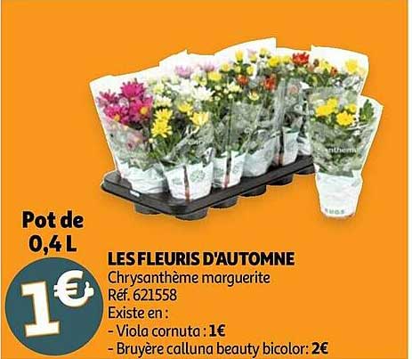 les fleuris d'automne