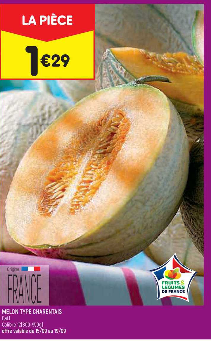 melon type charentais