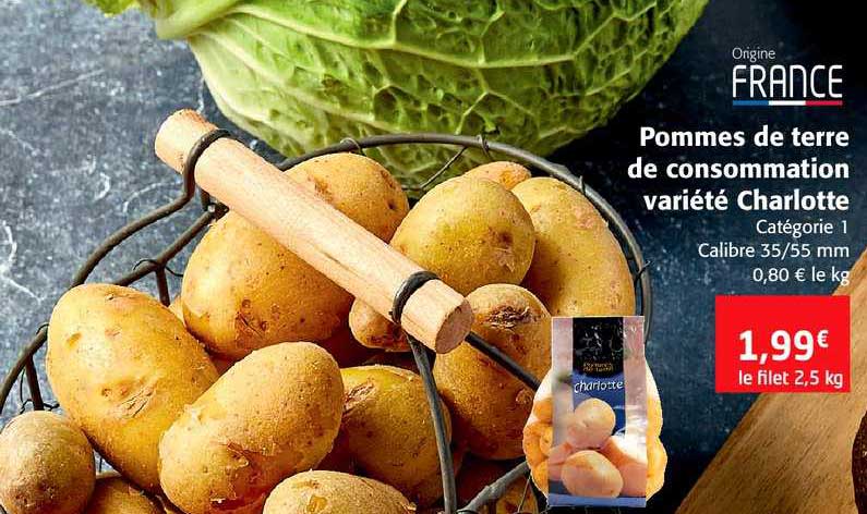 pomme de terre de consommation variété charlotte