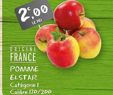 Pomme Elstar