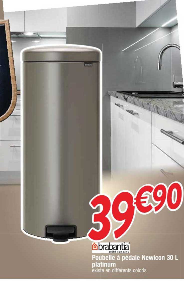 poubelle à pédale newicon 30 l platinum