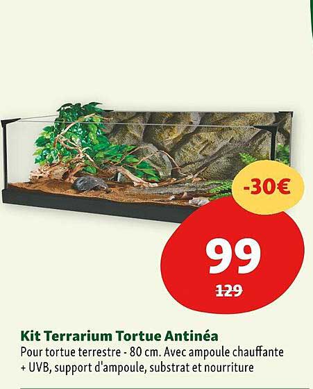 Kit Terrarium Tortue Antinéa