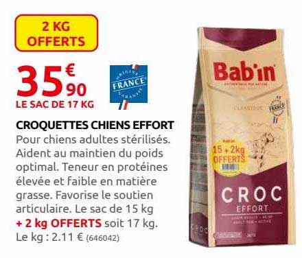 croquettes chiens effort bab'in