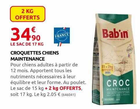 croquettes chiens maintenance bab'in