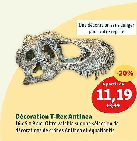 décoration t-rex antinea