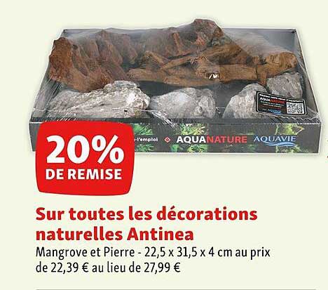 Décorations Naturelles Antinea