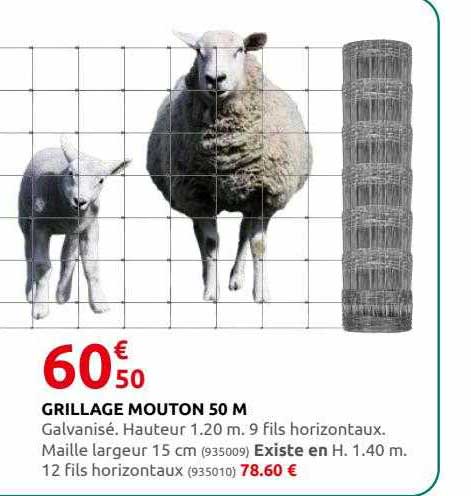 Grillage Mouton 50 M