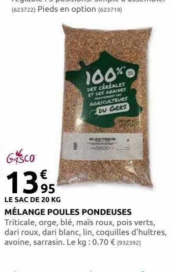 Mélange Poules Pondeuses