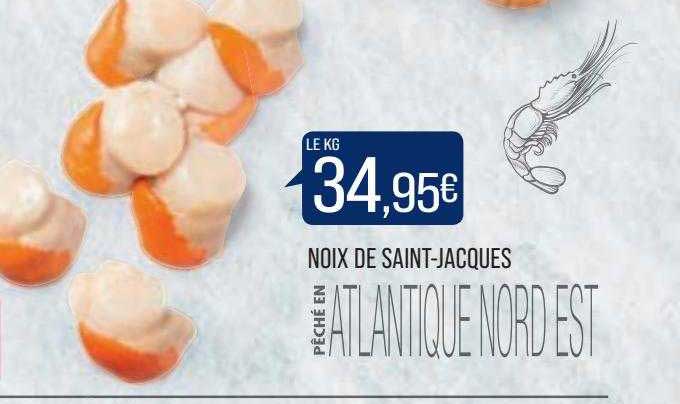 noix de saint-jacques