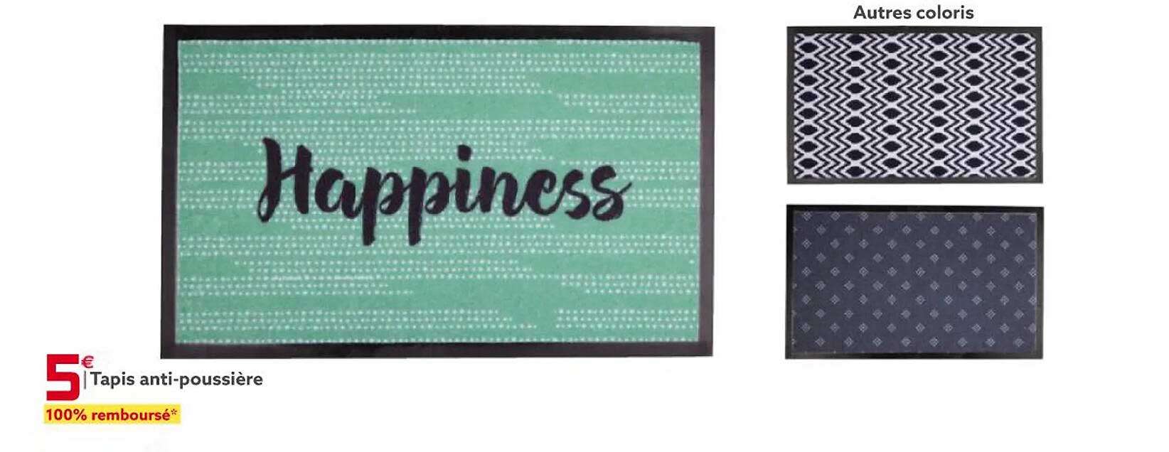 Tapis Anti-poussière