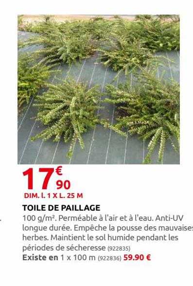 Toile De Paillage