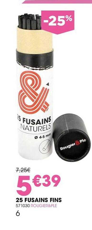 25 fusains fins rougier&plé
