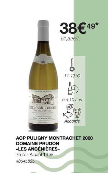 aop puligny montrachet 2020 domaine prudon «les ancénières»