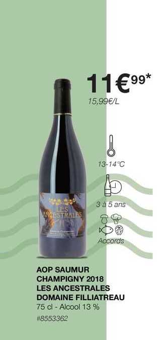 aop saumur champigny 2018 les ancestrales domaine filliatreau