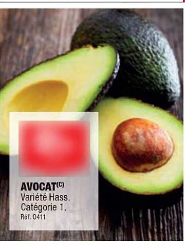 Avocat