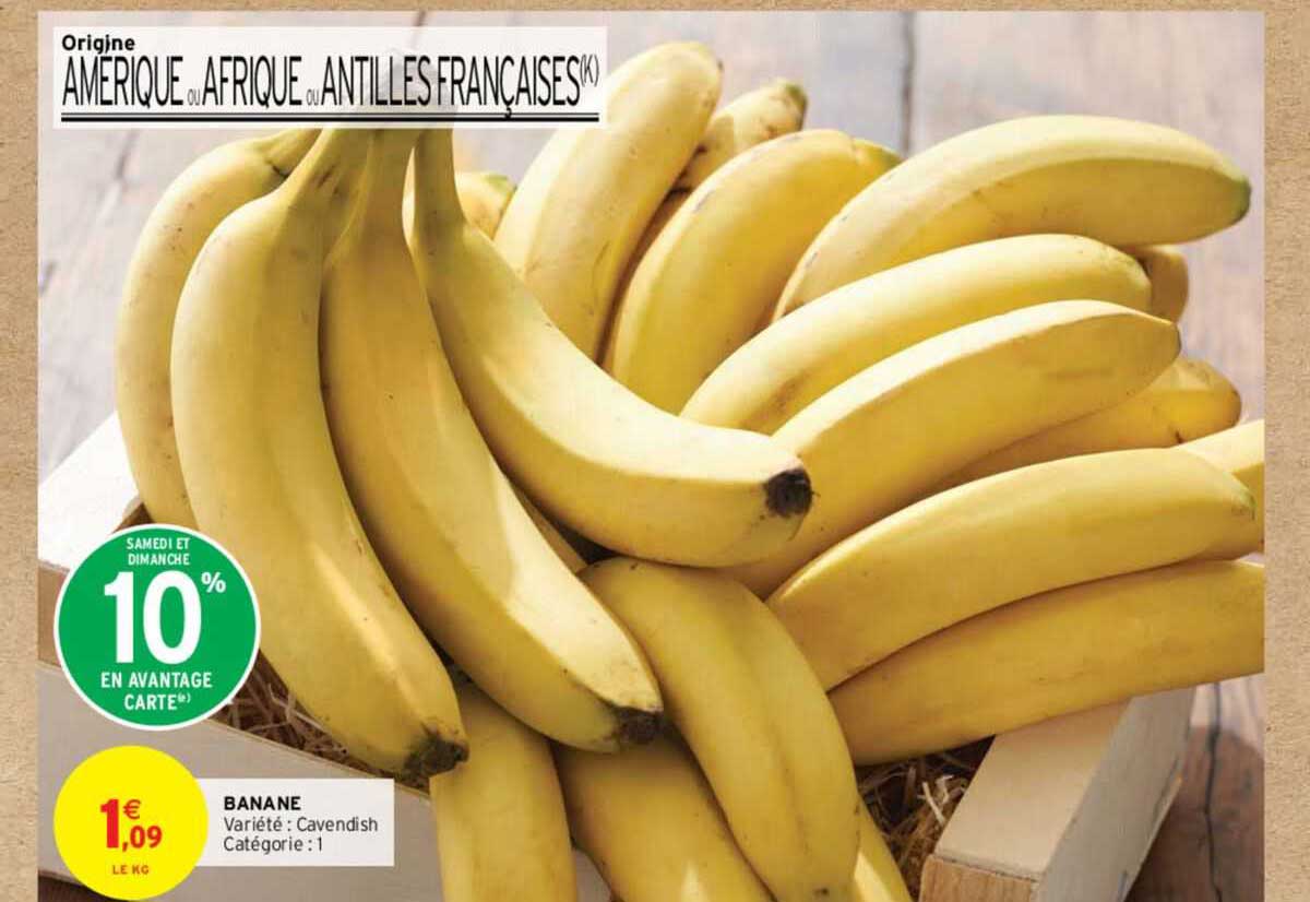 Banane Cavendish