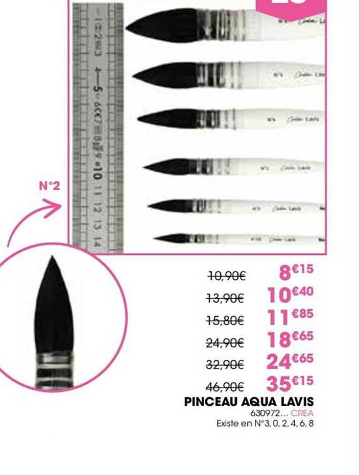 Pinceau Aqua Lavis Créa